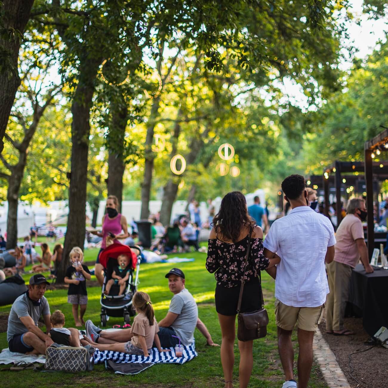 Leeucollection blog - All Roads Lead to Franschhoek | A Journey to Leeu Collection 3