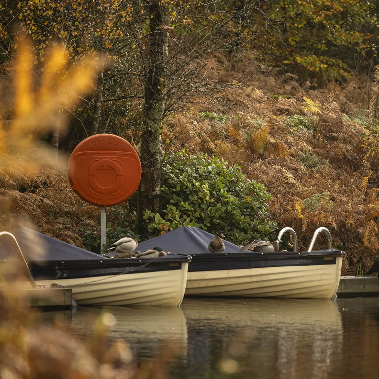 Leeucollection blog - Family Friendly Attractions in Windermere | Stay at Linthwaite House in Bowness 2