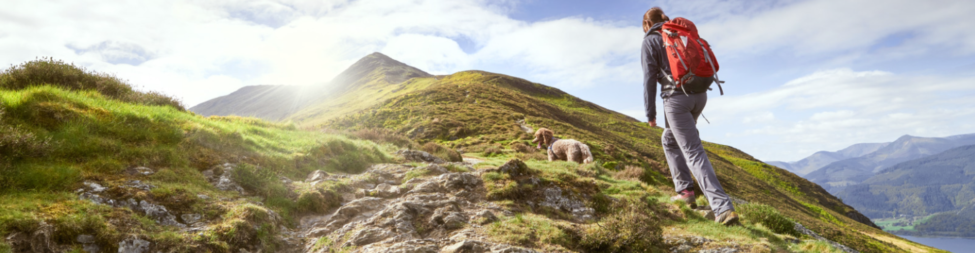 Leeucollection blog - Your Guide to Dog-Friendly Travel in the Lake District hero slide 1