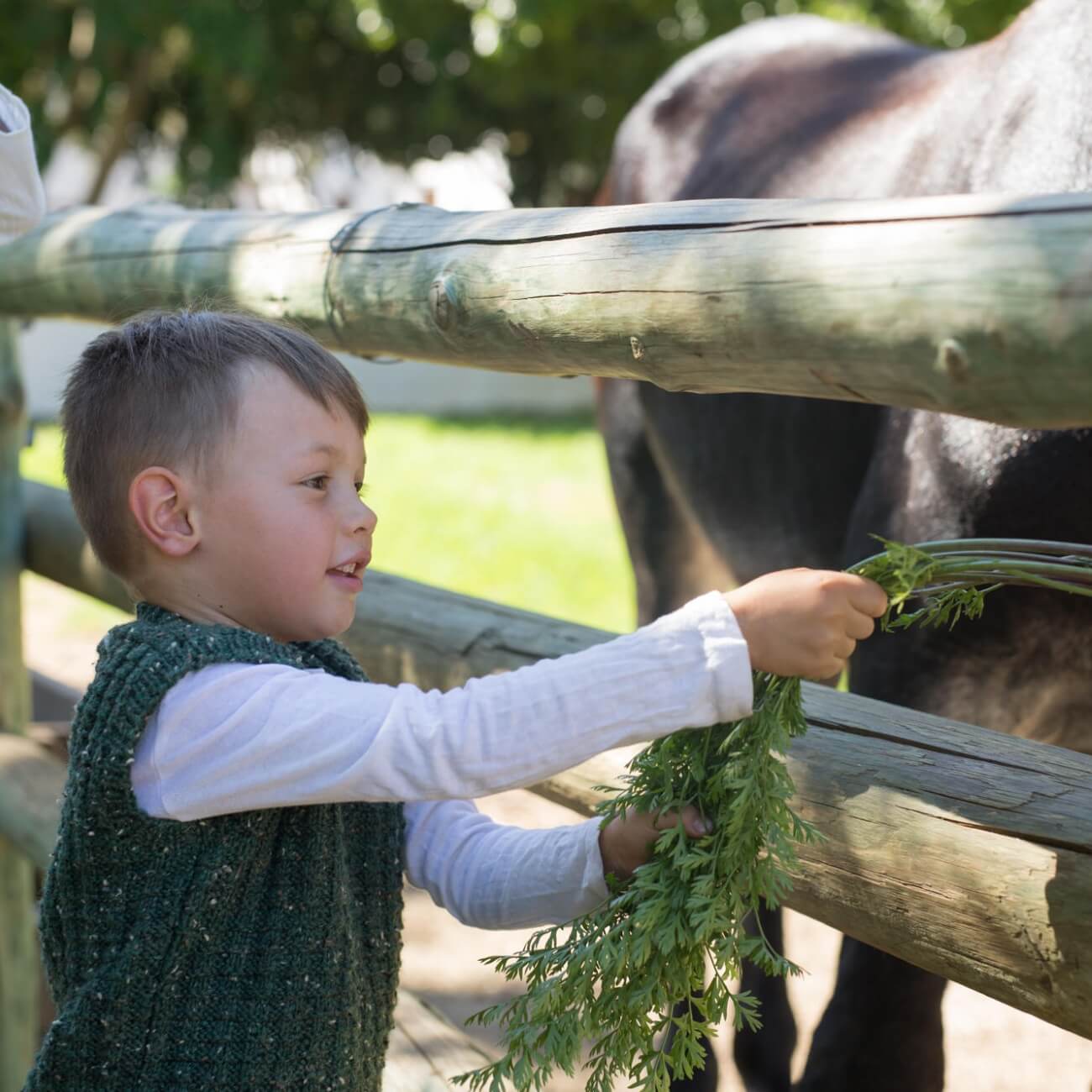 Leeucollection blog - All Roads Lead to Franschhoek | A Journey to Leeu Collection 1