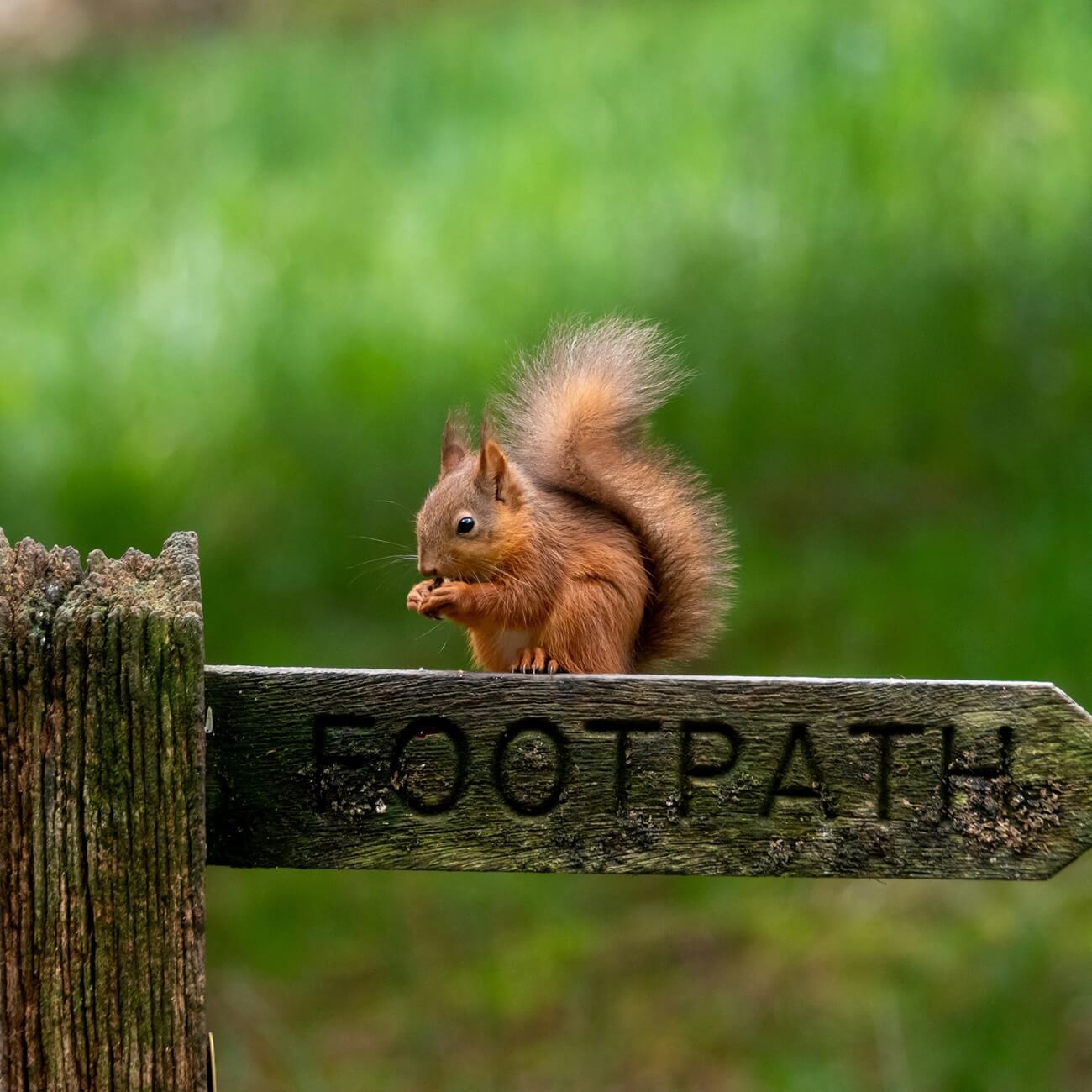 Leeucollection blog - Scenic Road Trip from Inverness to Linthwaite House 3