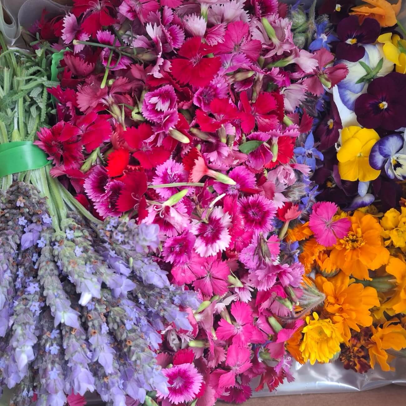 Leeucollection blog - A Year in the Leeu Locally Grown Edible Gardens | Leeu Estates 1