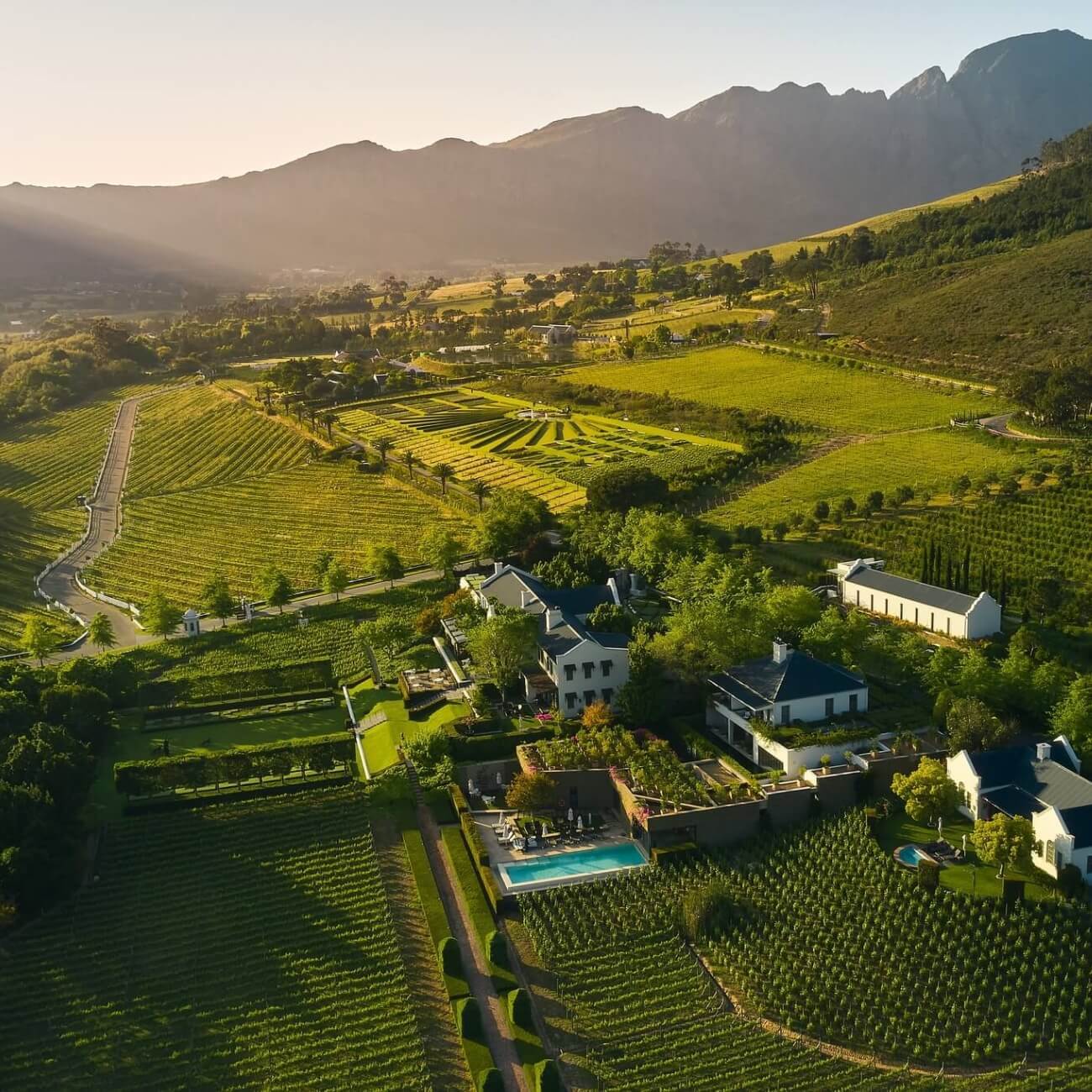 Leeucollection blog - Gary Stephens’ Artist Residency at Leeu Estates | Everard Read Franschhoek 2