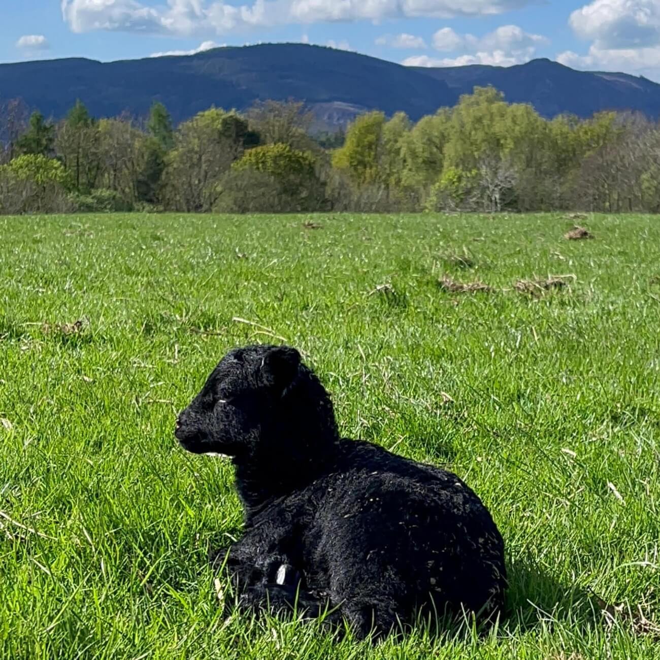 Leeucollection blog - Leeu Collection Wildlife 2