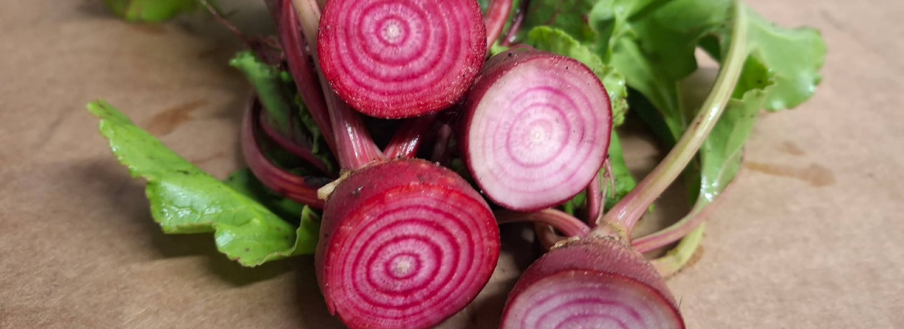 Leeucollection blog - A Year in the Leeu Locally Grown Edible Gardens | Leeu Estates hero slide 1