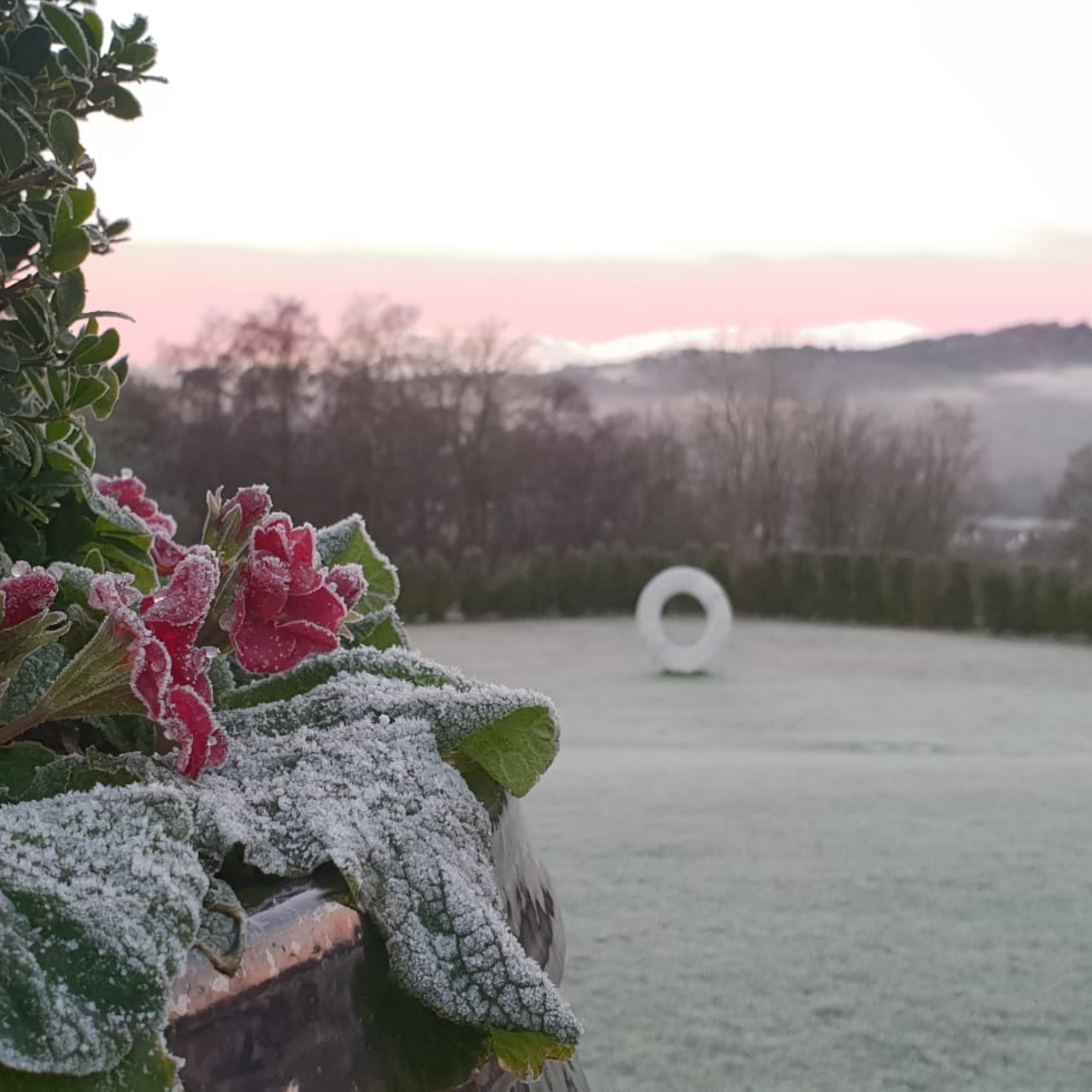 Frost dusting the grounds of Linthwaite House