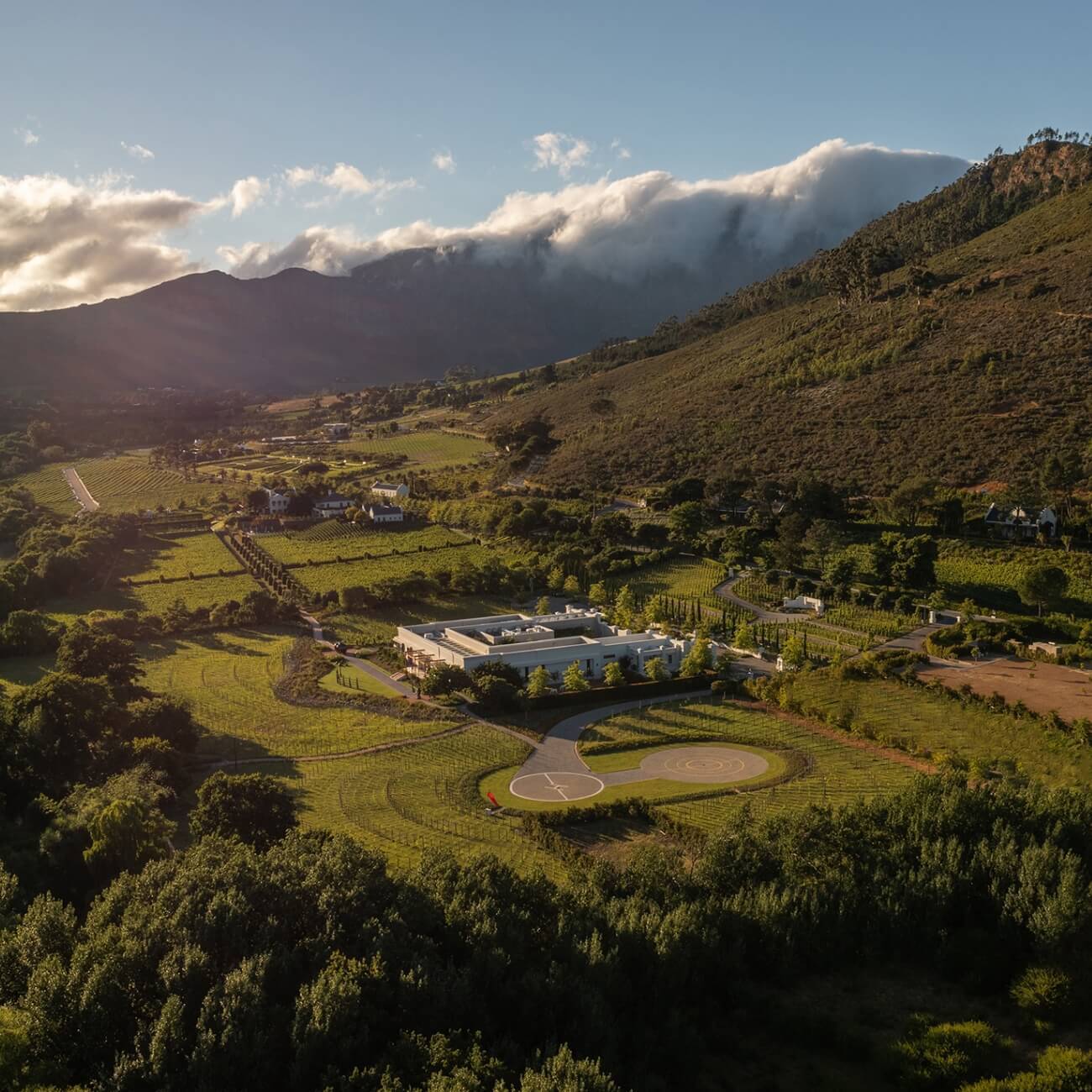 Leeu Collection Highlights image