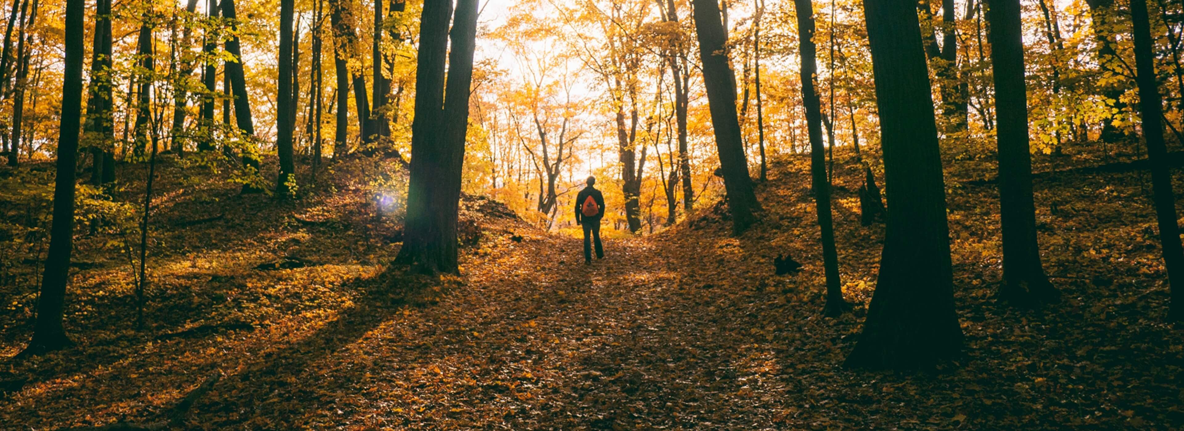 Leeucollection blog - Birdwatching in the Lake District hero slide 1