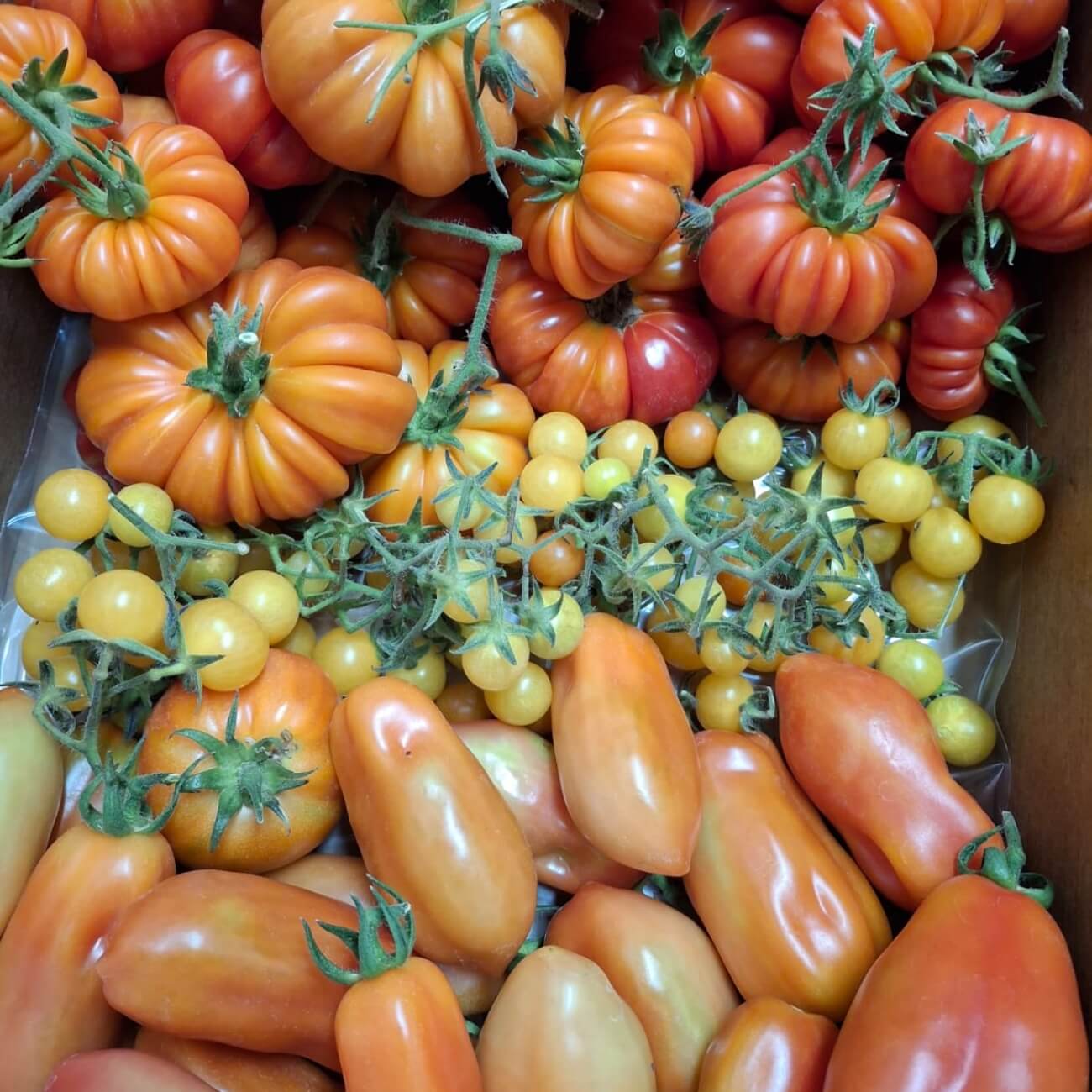 Leeucollection blog - A Year in the Leeu Locally Grown Edible Gardens | Leeu Estates 3