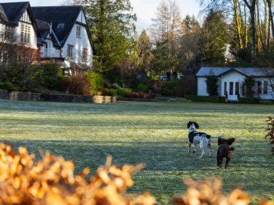 Leeucollection blog - Your Guide to Dog-Friendly Travel in the Lake District 2