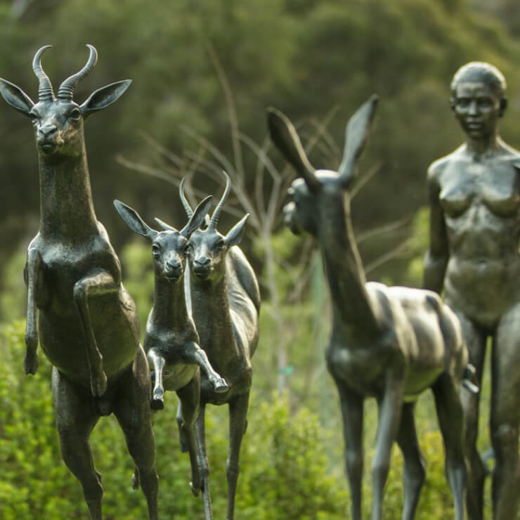 AMENITIES & SERVICES