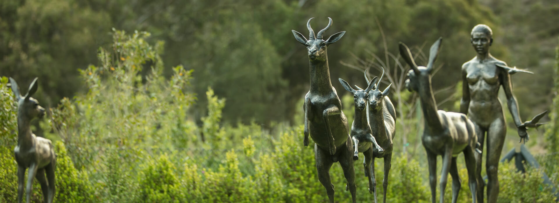 AMENITIES & SERVICES